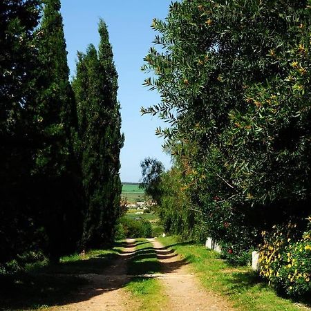 Vale Do Guizo: Casa Poente On The Contryside, Close By The Sea. อัลเจซูร์ ภายนอก รูปภาพ