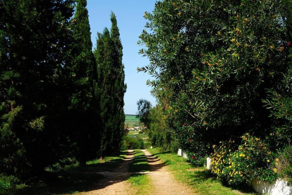 Vale Do Guizo: Casa Poente On The Contryside, Close By The Sea. อัลเจซูร์ ภายนอก รูปภาพ