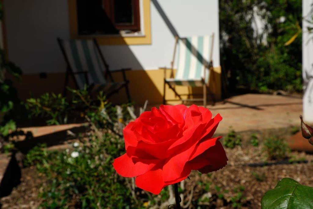 Vale Do Guizo: Casa Poente On The Contryside, Close By The Sea. อัลเจซูร์ ภายนอก รูปภาพ
