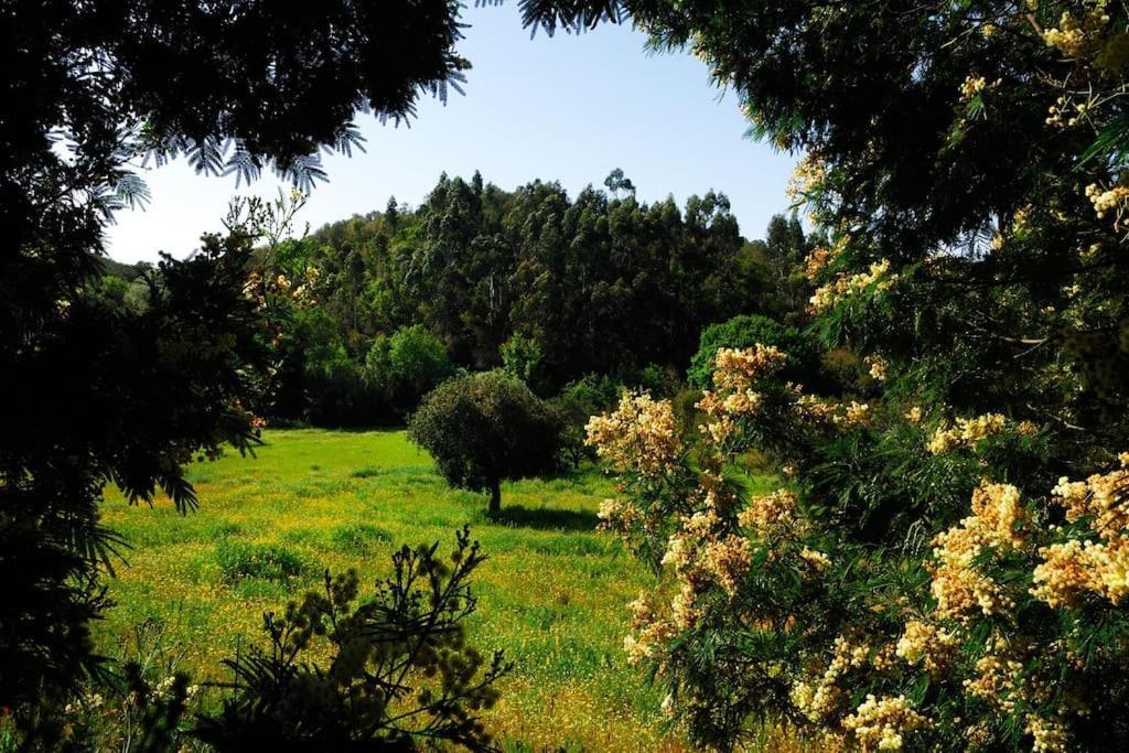 Vale Do Guizo: Casa Poente On The Contryside, Close By The Sea. อัลเจซูร์ ภายนอก รูปภาพ